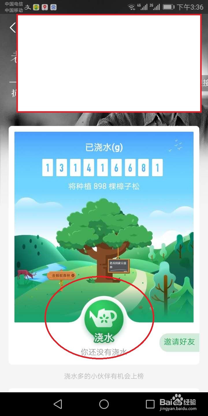 蚂蚁森林怎么给机构浇水