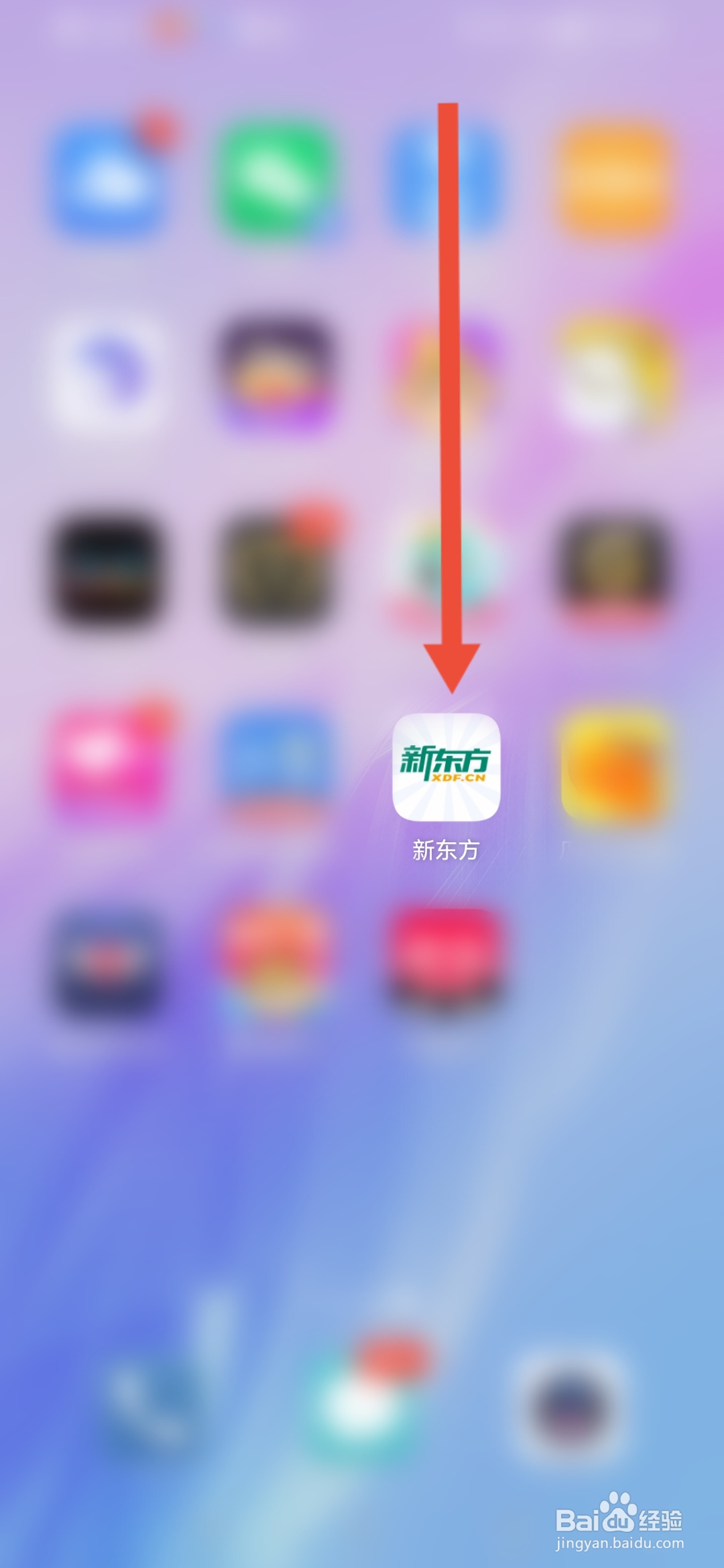 新东方怎么查看自己的二维码