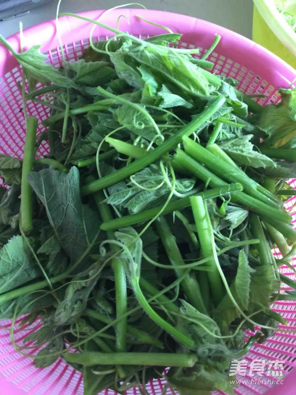虾酱炒瓜苗的做法
