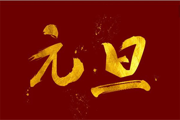 元旦难忘的一件事400字