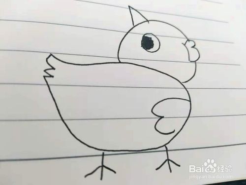 简笔画转头的小鸟