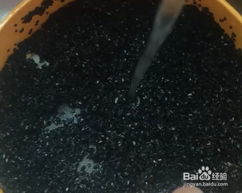 小孩子超喜欢的炒黑芝麻