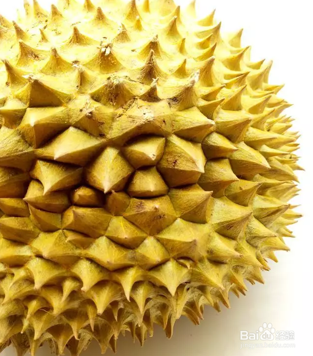 购买榴莲时如何挑选好的榴莲？