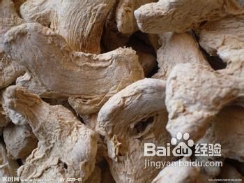 冬季最受欢迎的十大进补食物