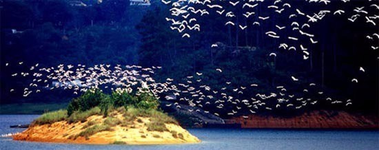 流溪河国家森林公园自助游攻略