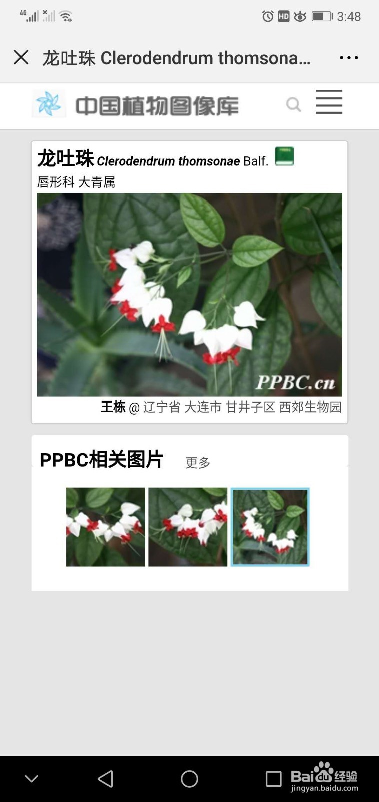 如何快速认识一种植物