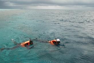 夏季海边游泳注意事项