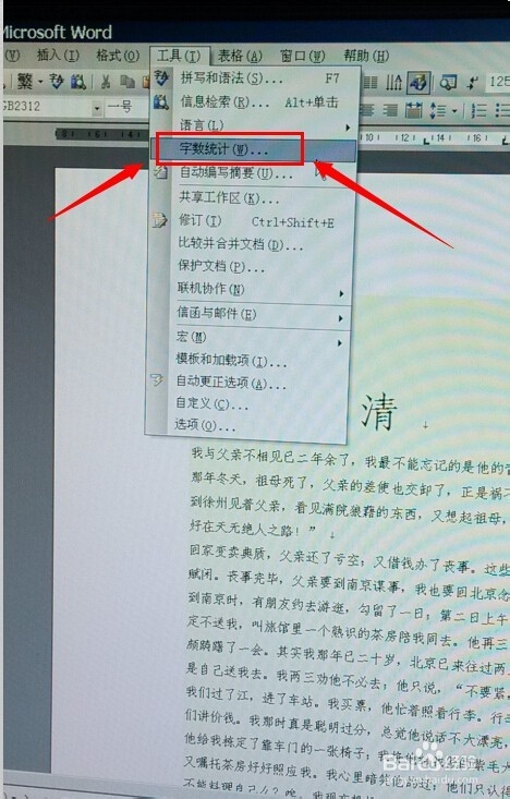 如何在WORD中进行“字数统计“