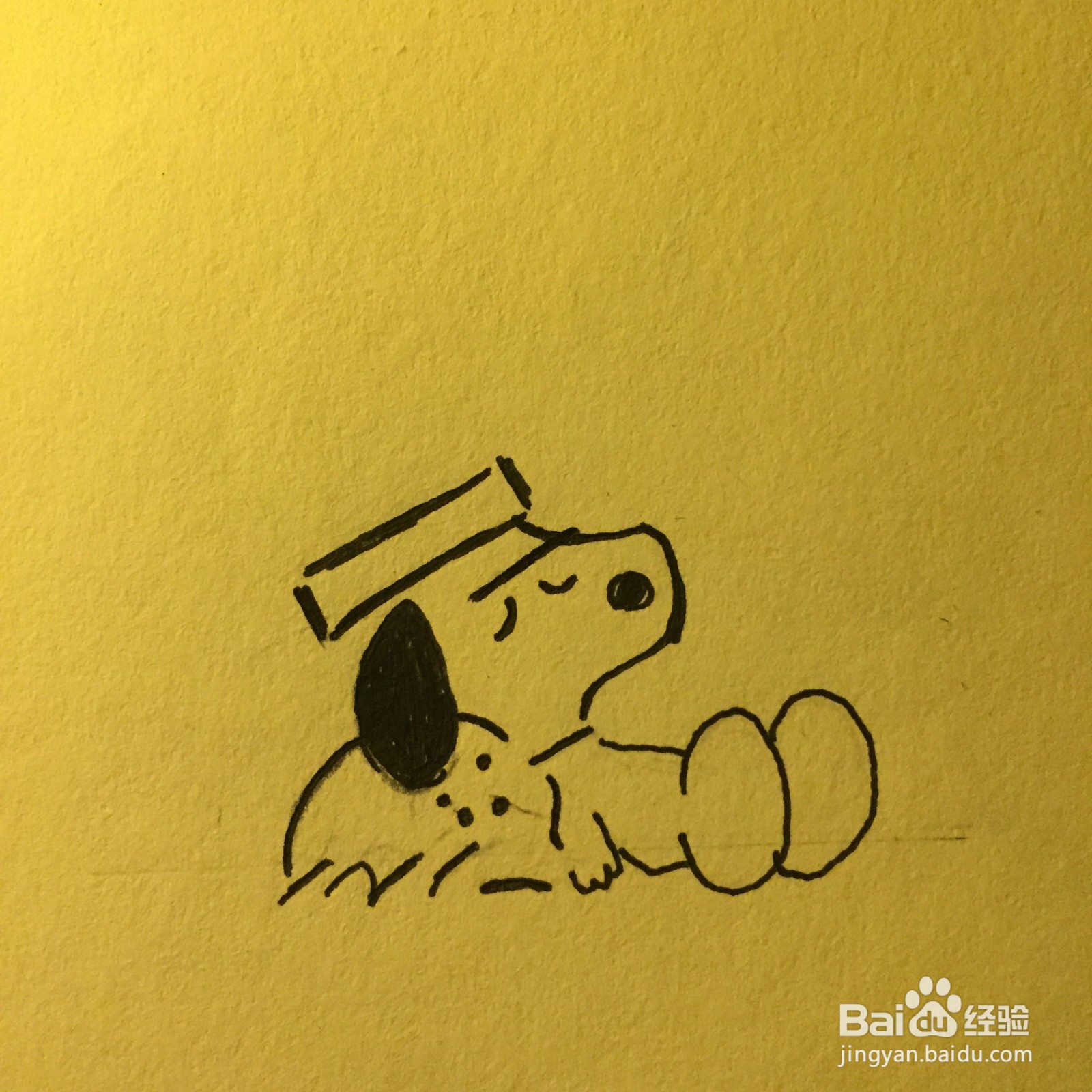 零基础学会史努比教程