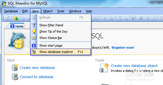 如何用Maestro生成表update存储过程到SQL编辑器