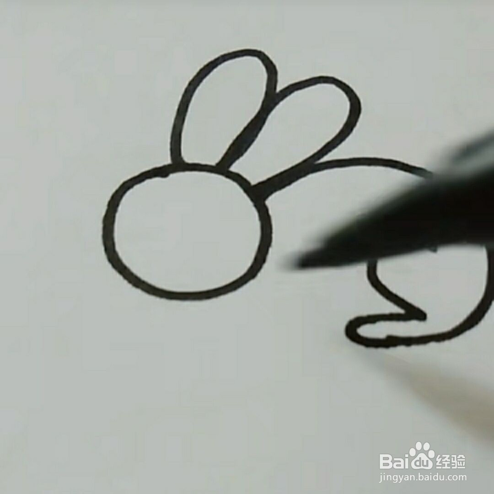 简笔画大全，如何画一只小兔子