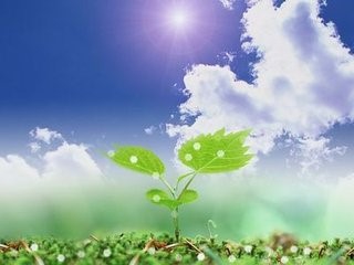 怎么保持室内空气清新