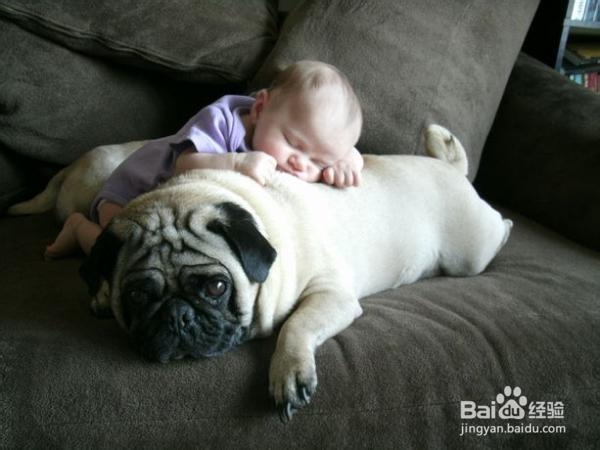 宝宝缺锌吃什么新手妈妈你知道吗