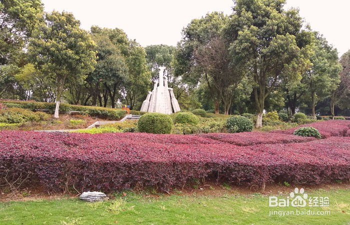 如何参观岳阳南湖公园的观光台