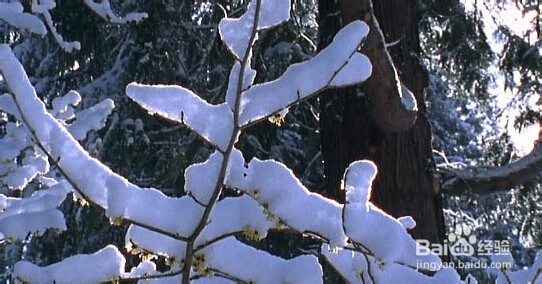 如何过上自然的生活-健康生活：[4]小经验