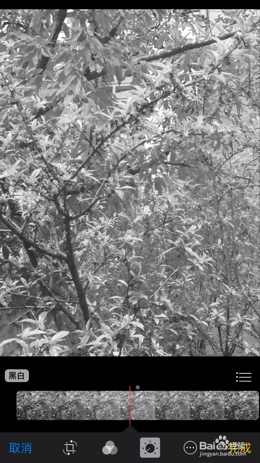 苹果手机把照片变成黑白艺术照的5个方法