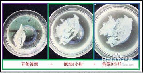 燕窝最详细的做法