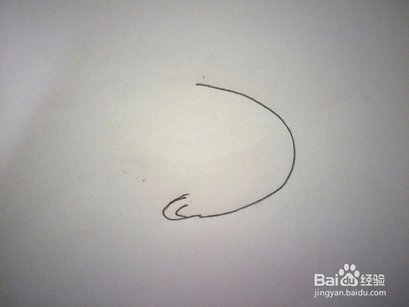 简笔画—小白兔的画法