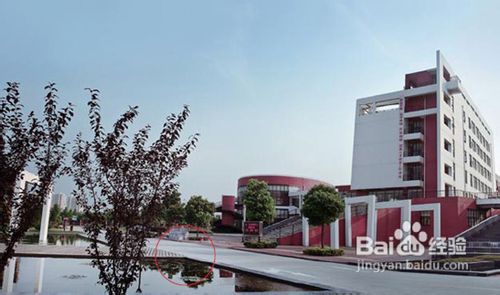 摄影构图的十大禁忌