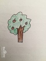 苹果树简笔画