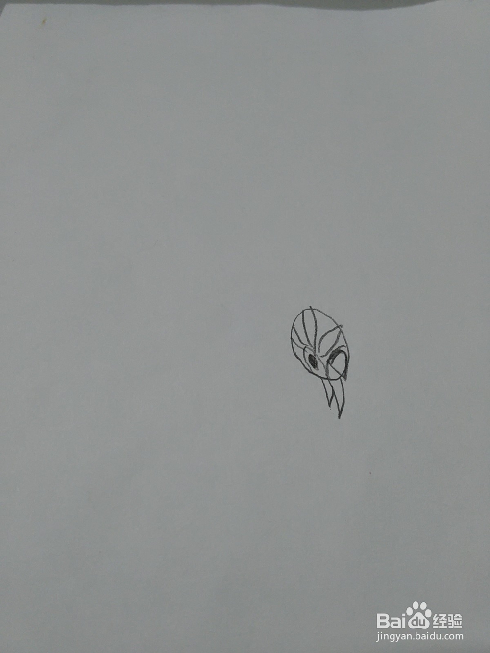 猪猪侠火焰鹤怎么画