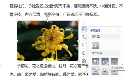 WPS怎么设置图片布局