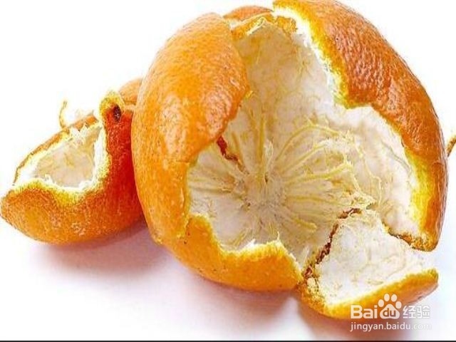 家里发现壁虎了该怎么处理
