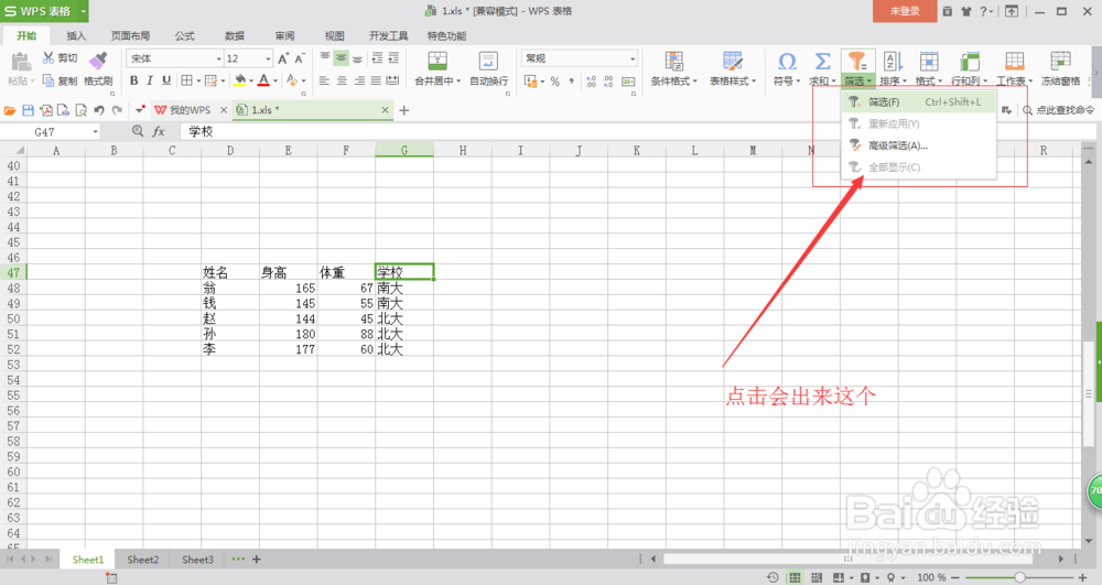 EXCEL中怎么使用筛选功能？