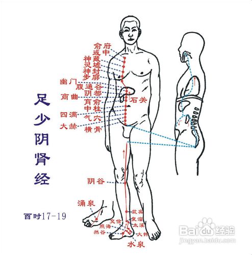 穴位按摩怎样治斑秃?
