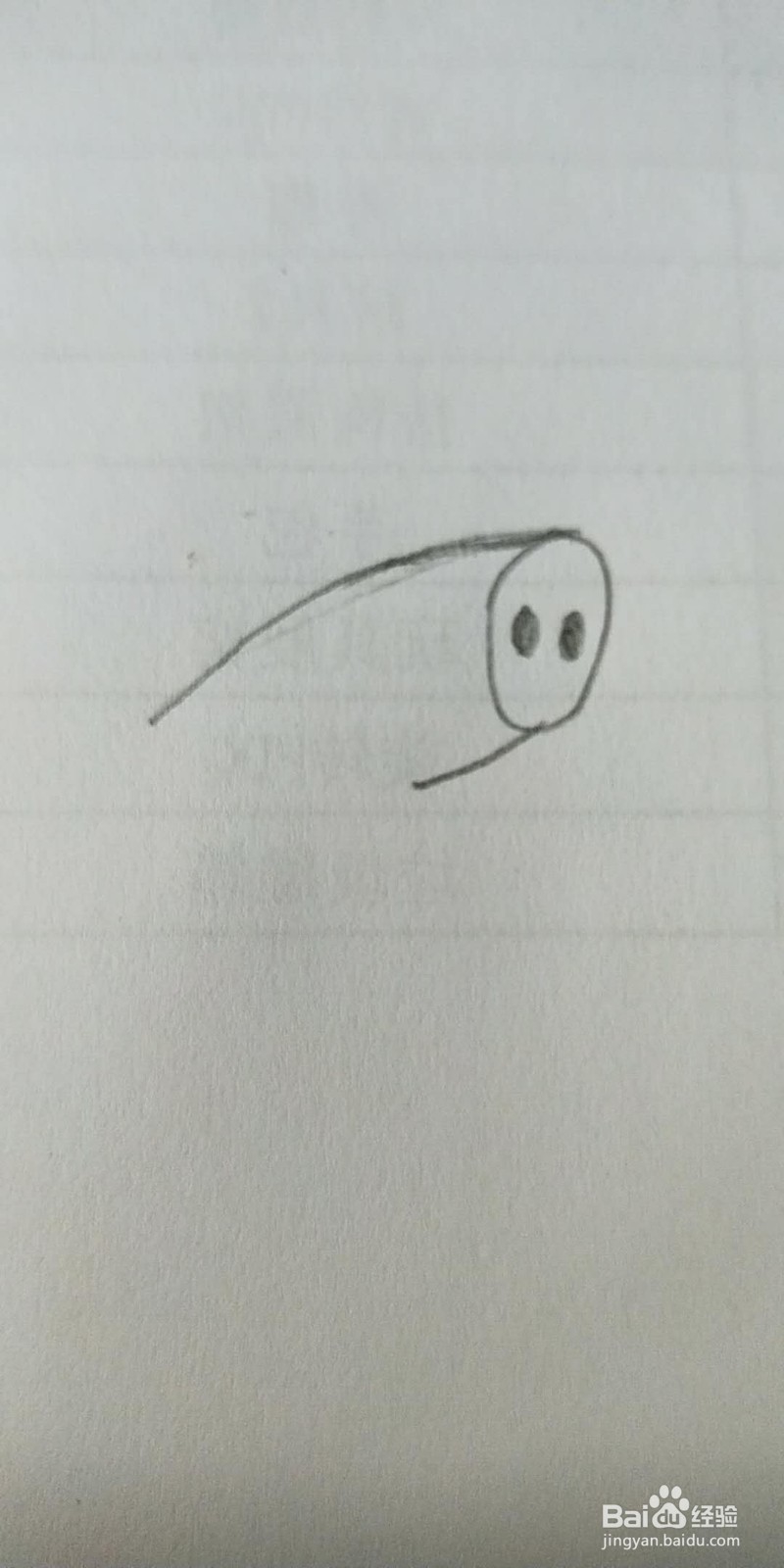 小猪佩奇简笔画教程