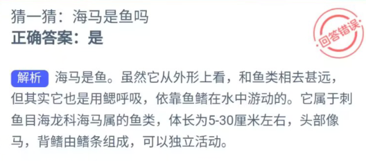 猜一猜:海马是鱼吗 神奇海洋
