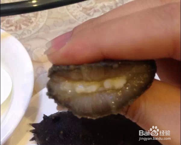 什么样的海参才是真正健康无害的好海参？