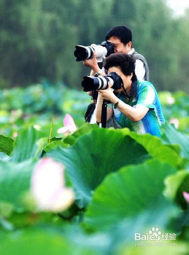 单反速成课程推荐