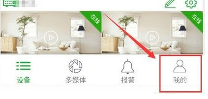Seetong怎么启用报警声音