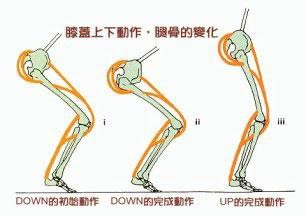 滑雪技术要领和注意事项