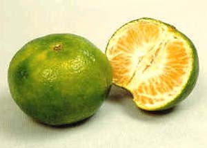 怎样治疗嗓子干痒、咳嗽