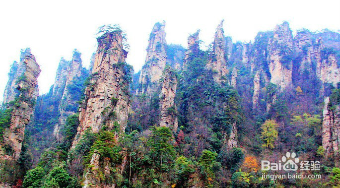 张家界旅游直通车/不跟团/自助游/自由行