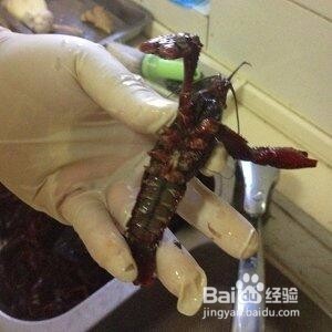 如何清洗小龙虾