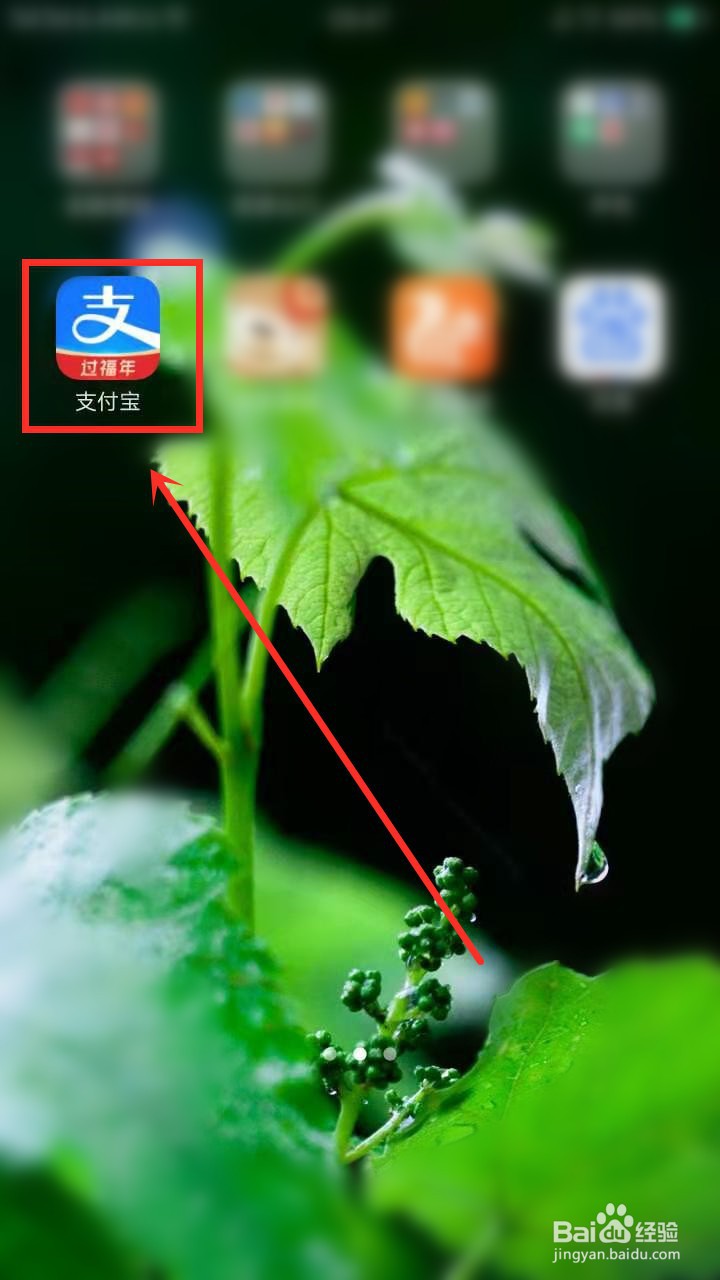 支付宝查看资产记录怎么操作