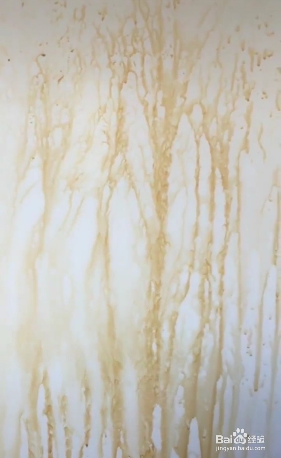 如何处理厨房墙壁上的油渍