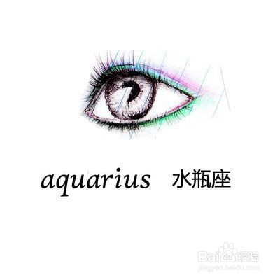 十二星座之最大排名