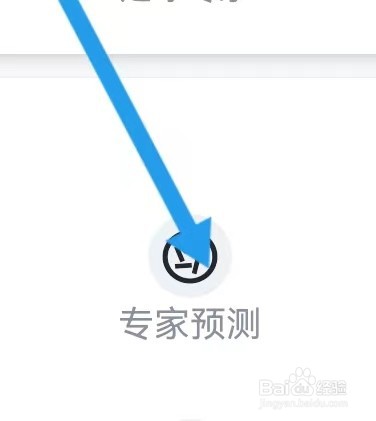 白鲸大师如何能查看到专家预测