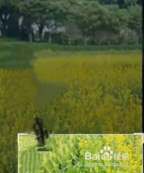 隐藏照片怎么设置