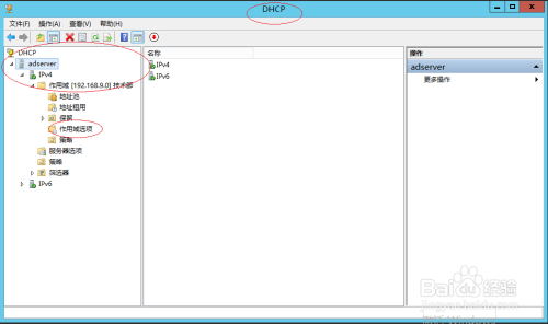 Windows DHCP服务器如何查看IPv4作用域选项属性