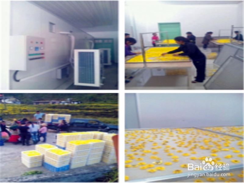 中药材的烘干工艺和中药材烘干机的选择