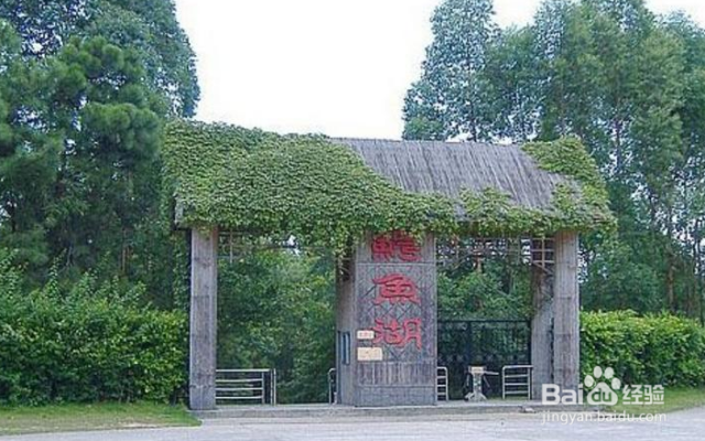 三水森林公园有什么好玩的地方（三水森林公园哪里好玩）[图]