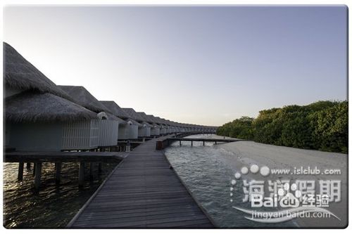 甜蜜的马尔代夫月桂岛、椰子双岛游记