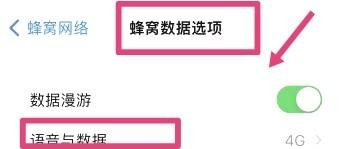 苹果手机微信小视频为啥发不出去