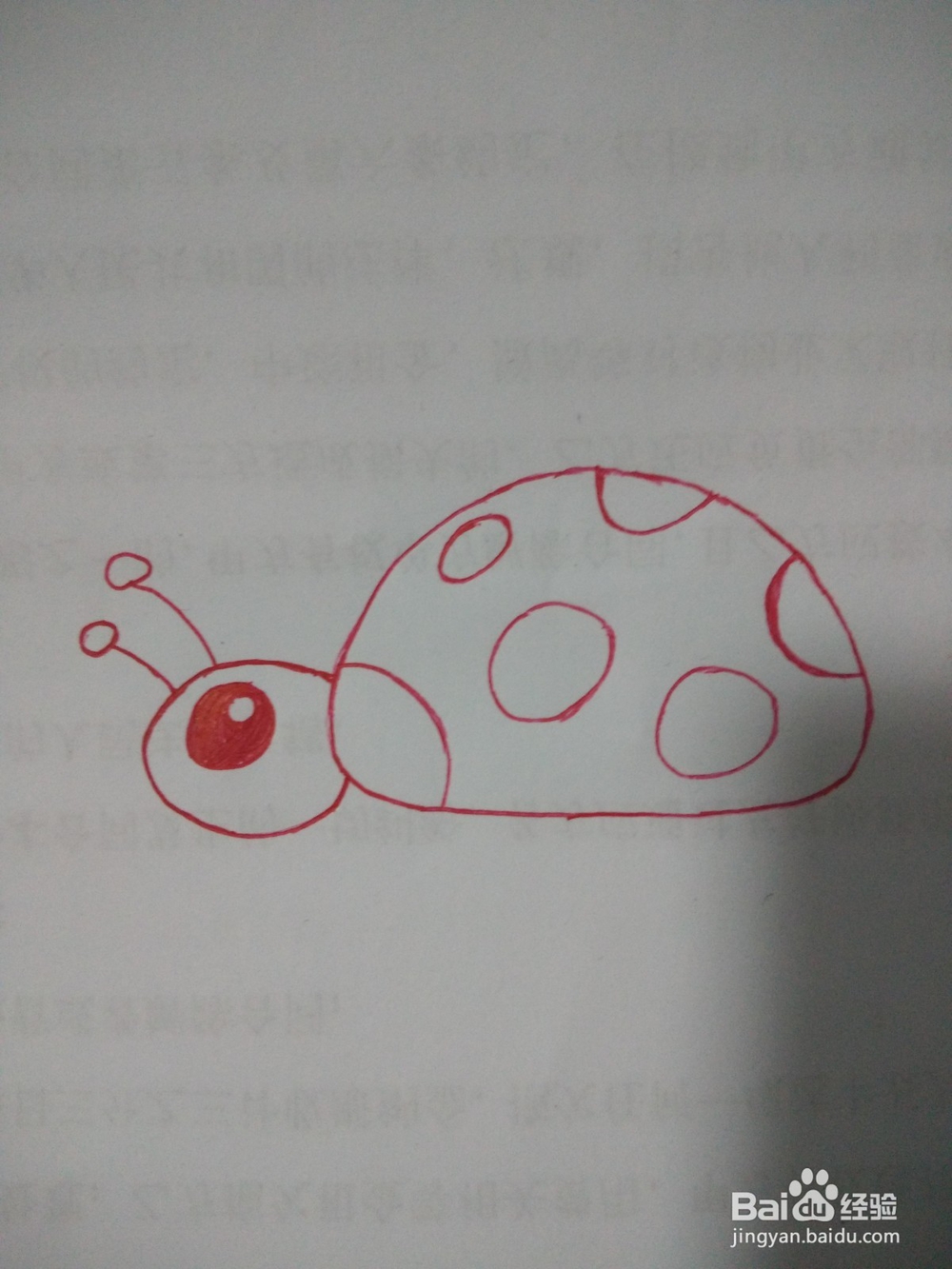 七星瓢虫的简笔画怎么画