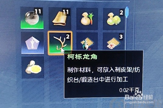 太荒初境柯栎龙角怎么获得